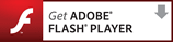 Flash Player̃_E[h